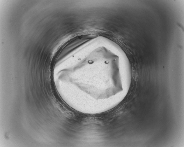 X0000101650244200807311419
