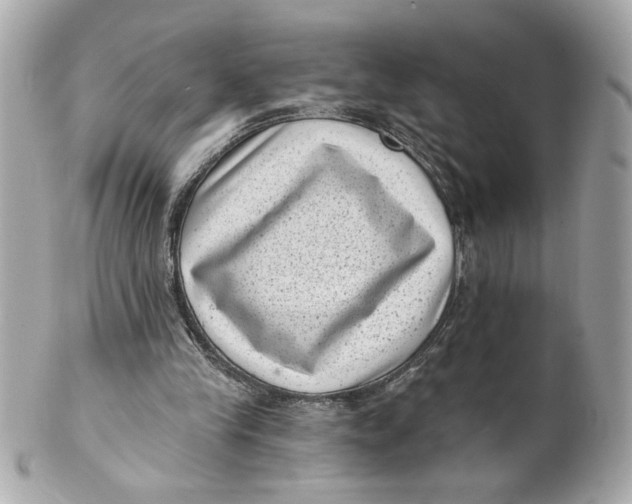 X0000101650245200807311419