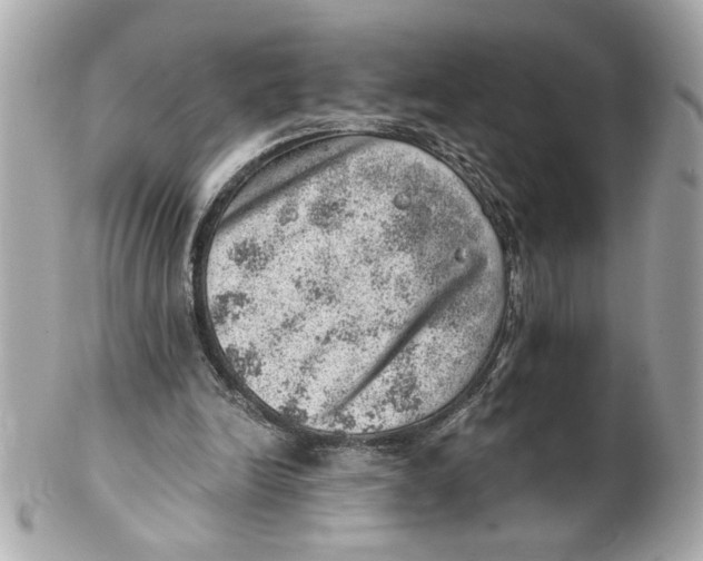 X0000101650246200807311419
