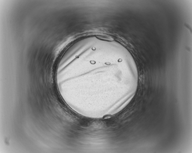 X0000101650248200807311419