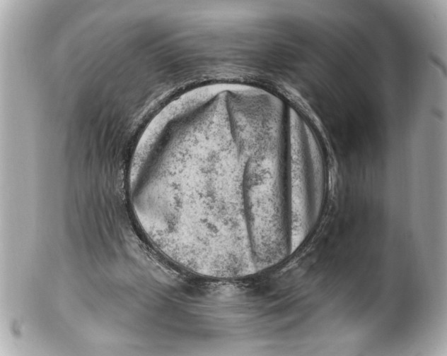 X0000101650249200807311419