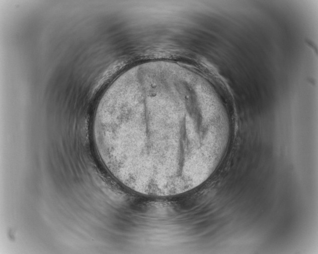 X0000101650250200807311419