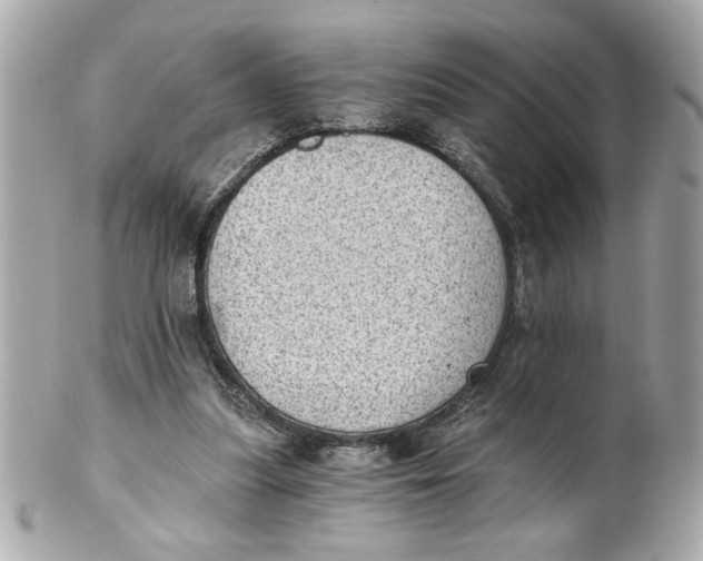 X0000101650251200807311419
