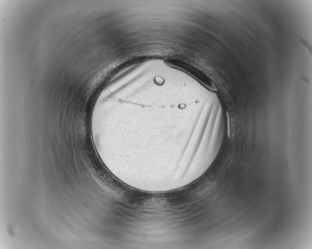 X0000101650252200807311419
