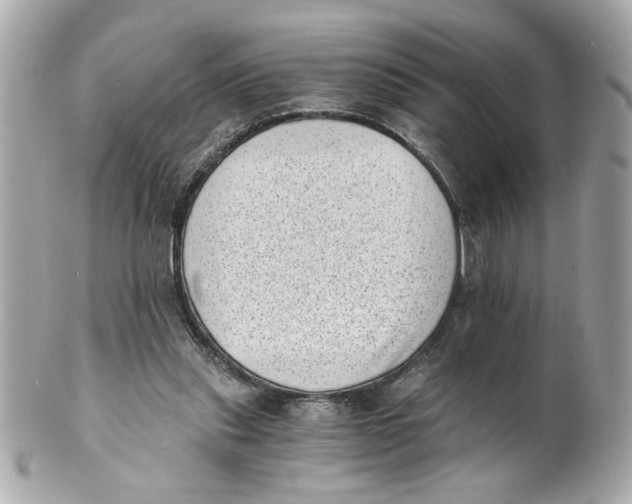 X0000101650253200807311419