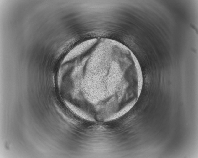 X0000101650254200807311419