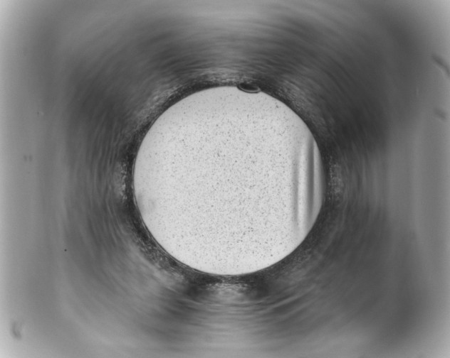 X0000101650255200807311419