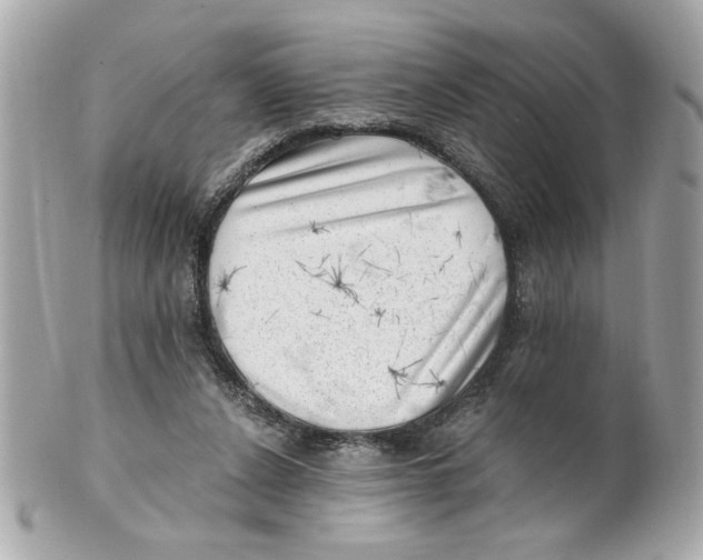 X0000101650256200807311419