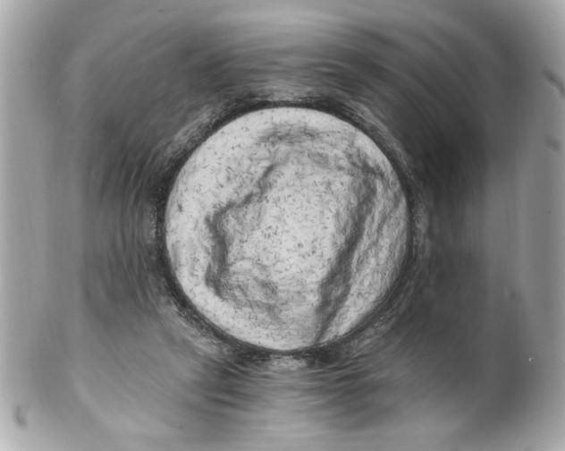 X0000101650257200807311419