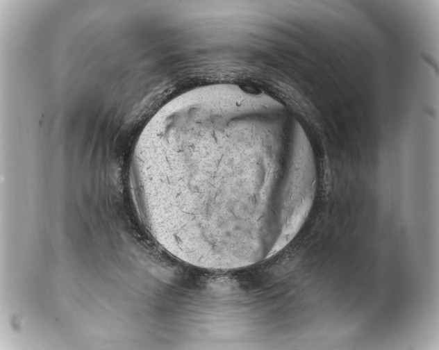 X0000101650258200807311419