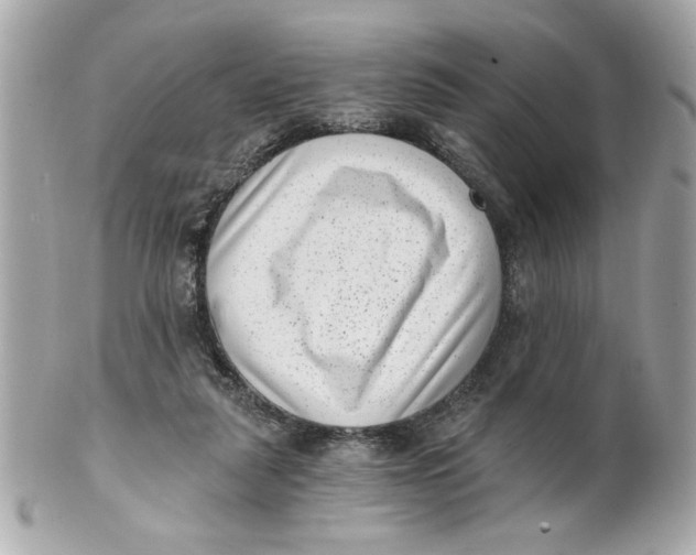 X0000101650259200807311419