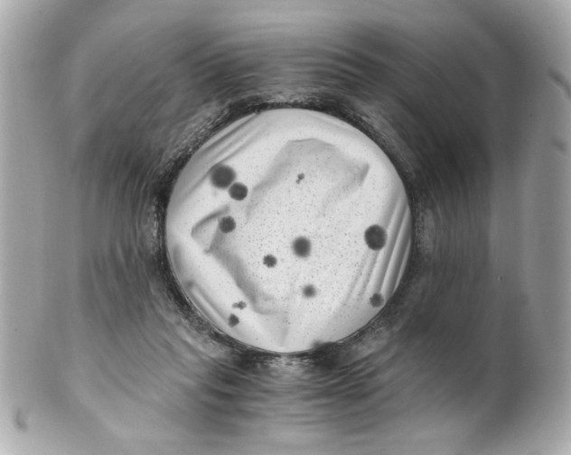 X0000101650261200807311419
