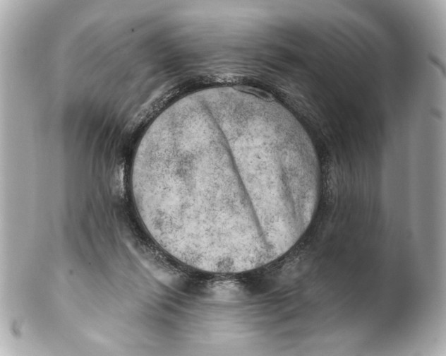 X0000101650262200807311419