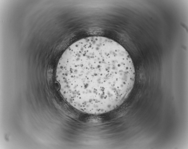 X0000101650263200807311419