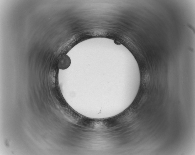X0000101650264200807311419