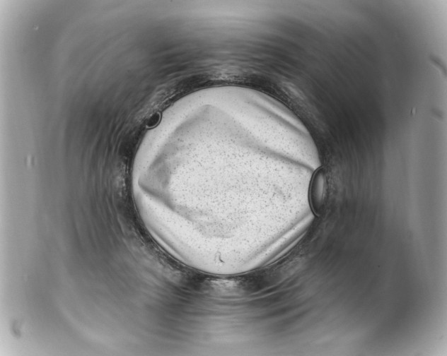 X0000101650265200807311419
