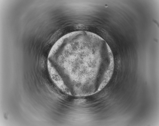 X0000101650266200807311419