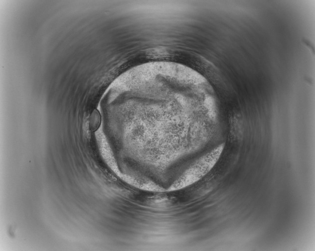 X0000101650267200807311419