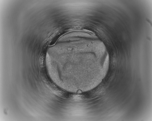X0000101650268200807311420
