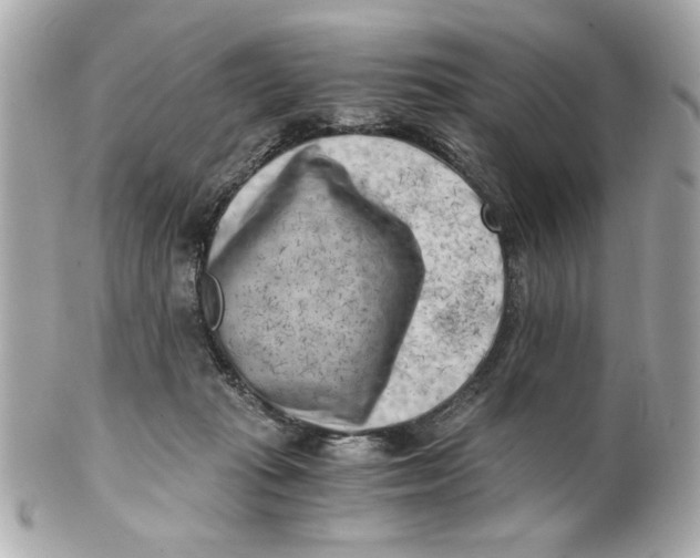 X0000101650269200807311420