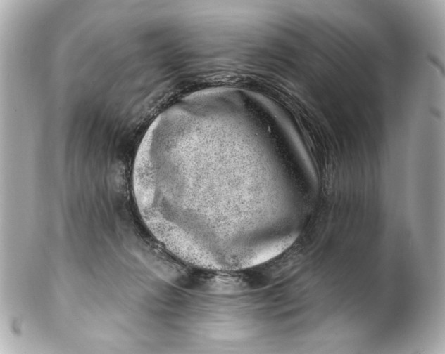 X0000101650270200807311420