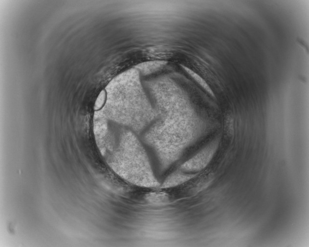 X0000101650271200807311420
