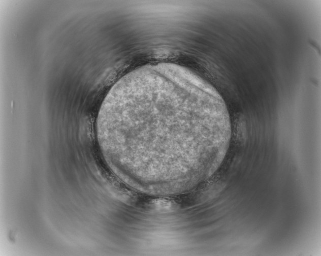 X0000101650272200807311420