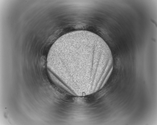 X0000101650273200807311420
