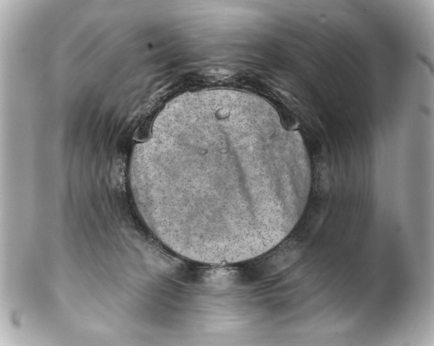 X0000101650274200807311420
