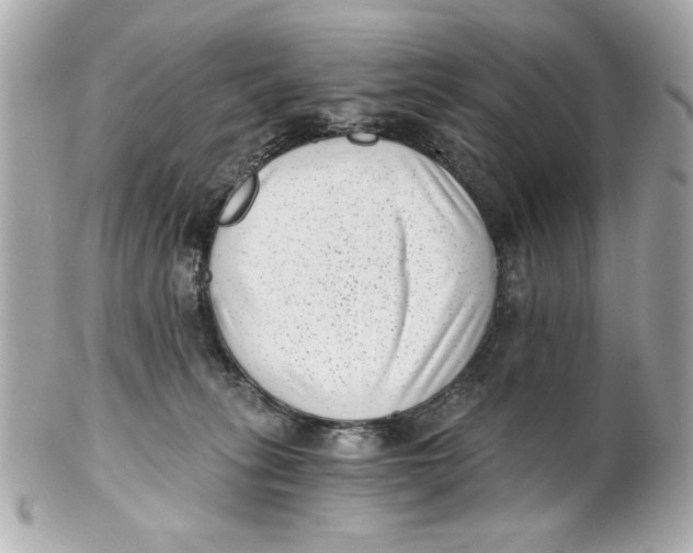 X0000101650275200807311420