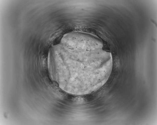 X0000101650276200807311420