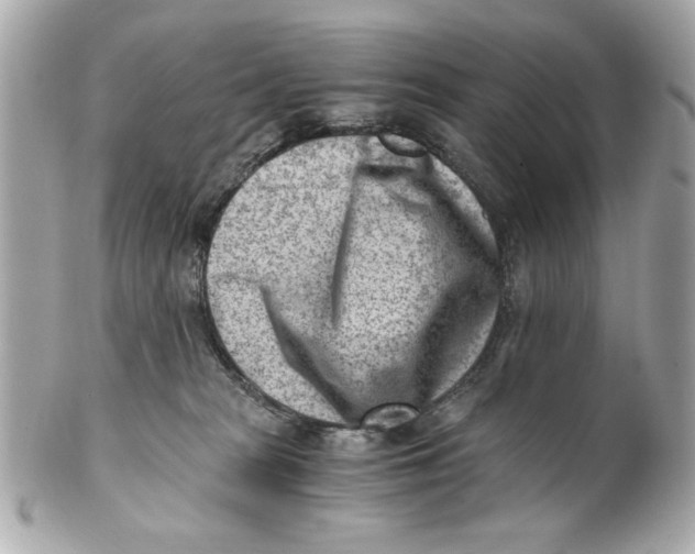 X0000101650277200807311420
