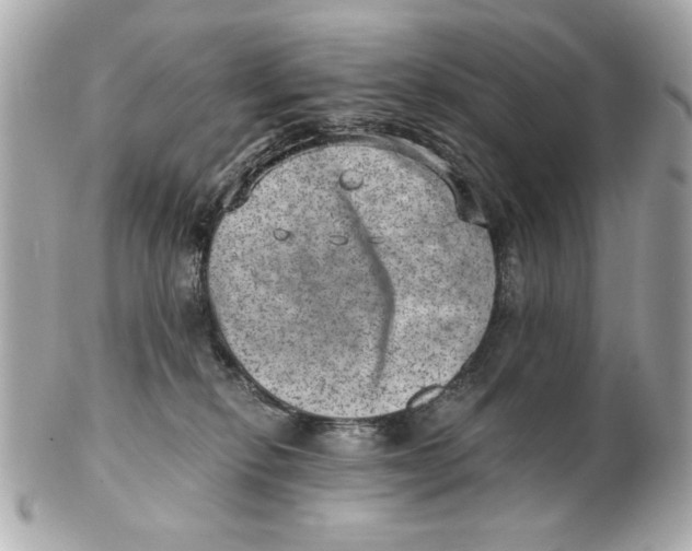 X0000101650278200807311420