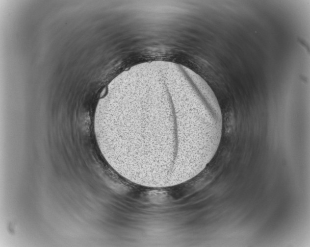 X0000101650279200807311420