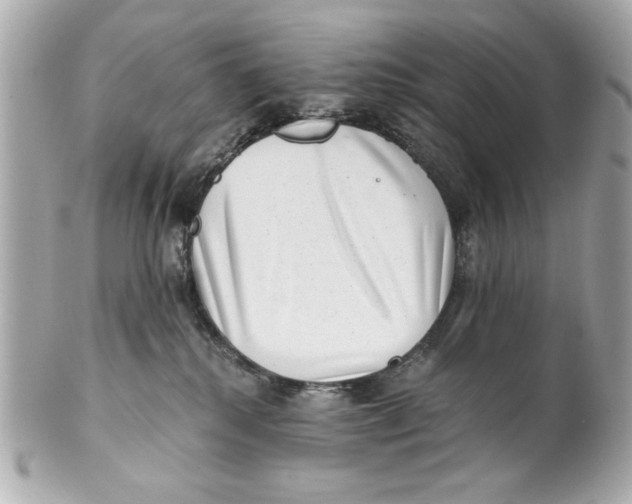 X0000101650280200807311420