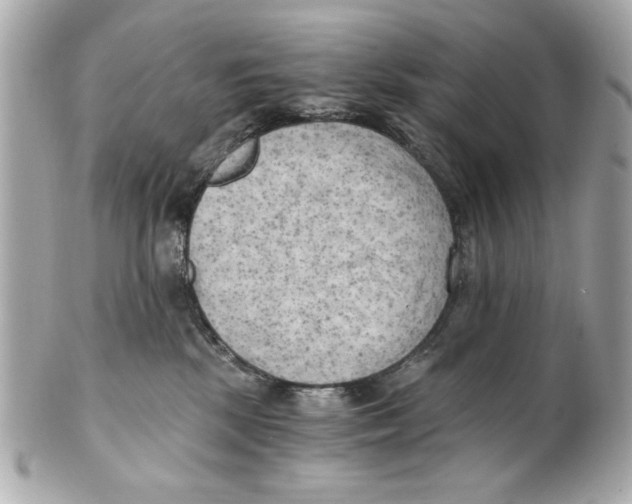 X0000101650281200807311420
