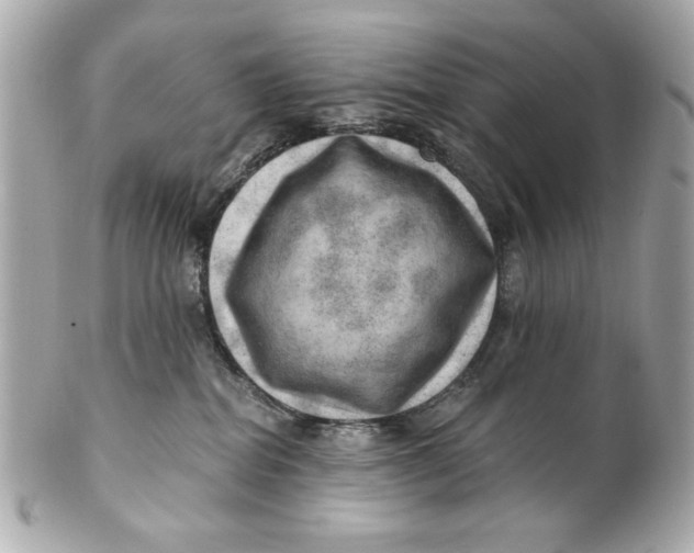 X0000101650282200807311420