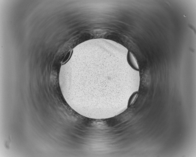 X0000101650283200807311420