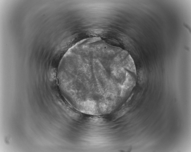 X0000101650284200807311420
