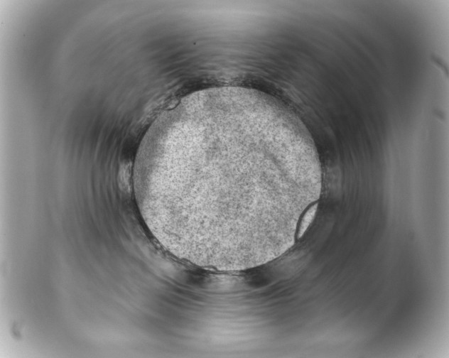 X0000101650286200807311420