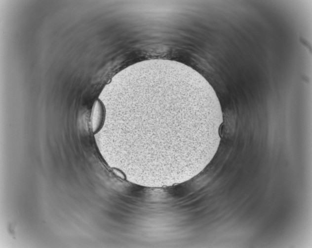 X0000101650287200807311420