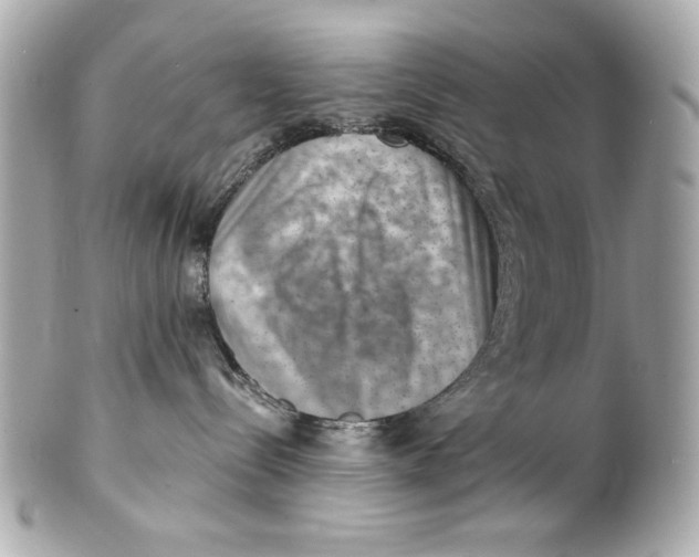 X0000101650288200807311420