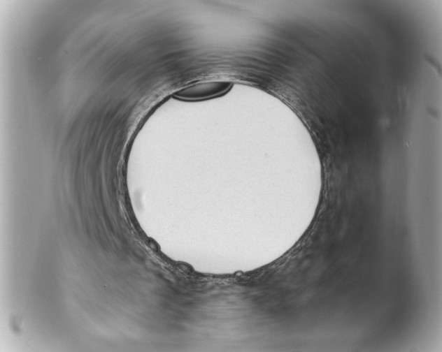 X0000101650289200807311419