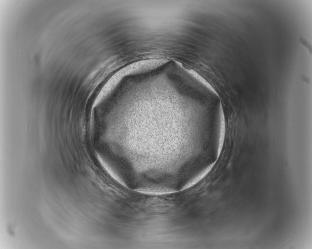 X0000101650290200807311419