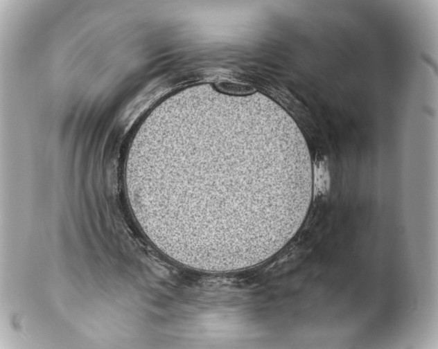 X0000101650291200807311419