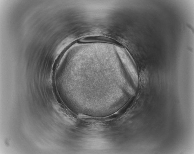X0000101650292200807311419