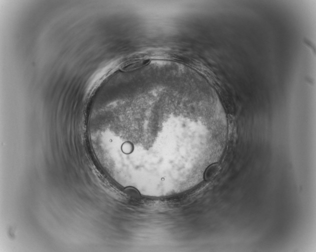 X0000101650293200807311419