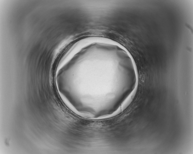 X0000101650294200807311419
