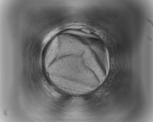 X0000101650296200807311419
