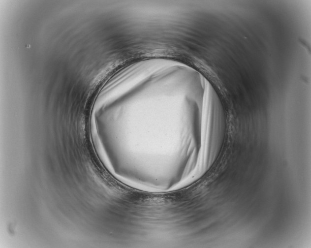 X0000101650298200807311419